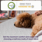 NapQueen 10 Inch Twin-XL Size Mattress, Cooling Gel Memory Foam Mattress, Bed in a Box White