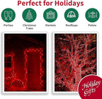 LAMPHOME Super-Bright Extendable Red Christmas Lights Decoration 100Lights 19.6ft UL Certified Mini Bulb String Lights Set for Outdoor Christmas Tree Garden Holiday Party Patio Wedding Garland Decor