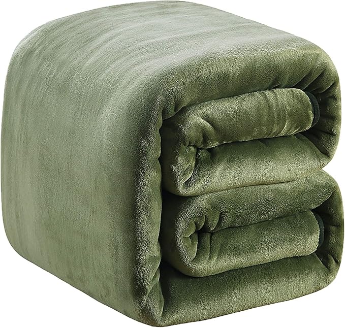 Richave 350GSM Fleece Blankets King Size for The Bed Warm Sofa Blanket 90" x 108"(Green King)