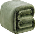 Fleece Blanket Twin Size 350GSM Lightweight Throw for The Bed Extra Soft Brush Fabric Super Warm Sofa Blanket 66" x 90"(Green Twin)