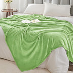 BEDELITE Fleece Blankets Queen Size Grass Green Throw Blankets for Bed, Luxury Plush Cozy Fuzzy Blanket 90x90 inches, Super Soft Warm Lightweight Throw Blanket All Seasons Suitable
