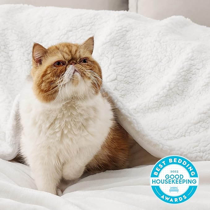 Bedsure GentleSoft Sherpa Fleece Blankets Queen Size for Bed - Thick and Warm Throw for Women and Men, Soft Fuzzy Plush Queen Blanket for Winter, White, 90x90 Inches