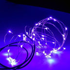 Karlling USB Plug in LED Fairy Lights,50 LED Bulbs 16 Ft Silver Wire Starry String Lights for Bedroom Patio Garden Party Wedding Commercial Lighting (Purple)