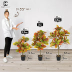 Fencer Wire 30 Inch Artificial Topiary Croton Tree, UV Resistant Artificial Outdoor Plants, Faux Bushes and Shrub, Fake Trees in Pot with Dried Moss, Artificial Plants for Front Porch, Indoor, Outdoor