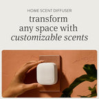 Drift Home Scent Diffuser Starter Kit in Grove - Adjustable and Long Lasting Diffuser Aroma - Clean Ingredients, Pet Safe