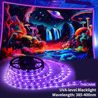 80ft Black Lights Strip with Remote, 1440 LEDs, 12V Flexible Blackights for Glow Party, Adjust Brightness, Delay Off, 3 Light Modes, Indoor Fluorescent Party, Stage Lighting