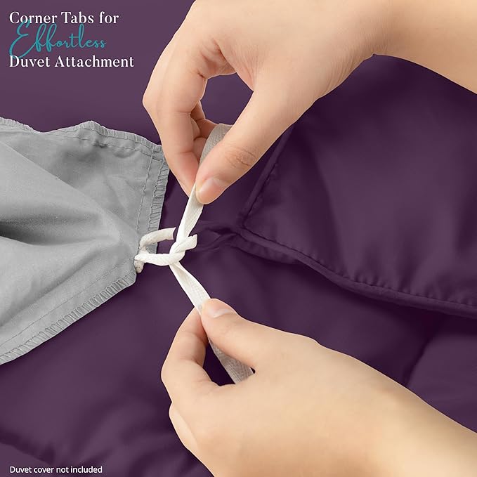 Utopia Bedding Comforter Duvet Insert, Quilted Comforter with Corner Tabs, Box Stitched Down Alternative Comforters Queen Size (Plum)