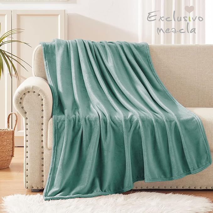 Exclusivo Mezcla Extra Large Fleece Throw Blanket for Couch, Sofa, 300GSM Super Soft and Warm Blankets, Celadon Throw All Season Use, Cozy, Plush, Lightweight, 50x70 Inches