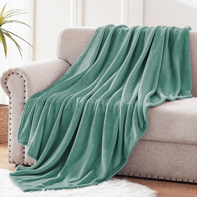 Exclusivo Mezcla Fleece Throw Blanket for Couch, Sofa, 300GSM Super Soft and Warm Blankets, Celadon Throw All Season Use, Cozy, Plush, Lightweight, 50x60 Inches