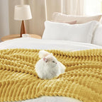 Bedsure GentleSoft Honey Throw Blanket for Couch - Super Soft Cozy Blankets for Women, Cute Small Blanket for Girls, 50x70 Inches