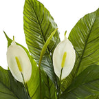 Nearly Natural 26” Spathiphyllum Artificial (Real Touch) Silk Plants Green