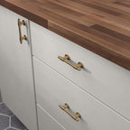 Franklin Brass Adjusta-Pull (5-Pack) Adjustable Drawer Pulls | Fits 1-3/8 to 4 Inch Hole Centers | Champagne Bronze Cabinet Handles| Francisco P44364-CZ-B
