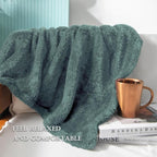 Exclusivo Mezcla Plush Fuzzy Fleece Throw Blanket Extra Large, Super Soft, Fluffy and Warm Blankets for Couch, Bed, Suitable for All Seasons (50x70 Inches, Celadon)