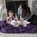 Bedsure GentleSoft Fleece Blankets Queen Size Purple - Bed Blanket Soft Lightweight Plush Fuzzy Cozy Luxury Microfiber, 90x90 inches