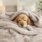 Exclusivo Mezcla Plush Fuzzy Fleece Bed Blanket Twin Size, Super Soft, Fluffy and Warm Blankets, Suitable for All Seasons (Camel, 90x66 Inches)
