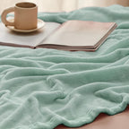 Bedsure GentleSoft Sage Green Fleece Blankets Queen Size - 280GSM Soft Lightweight Plush Cozy Blanket for Bed, Sofa, Couch, Travel, Camping