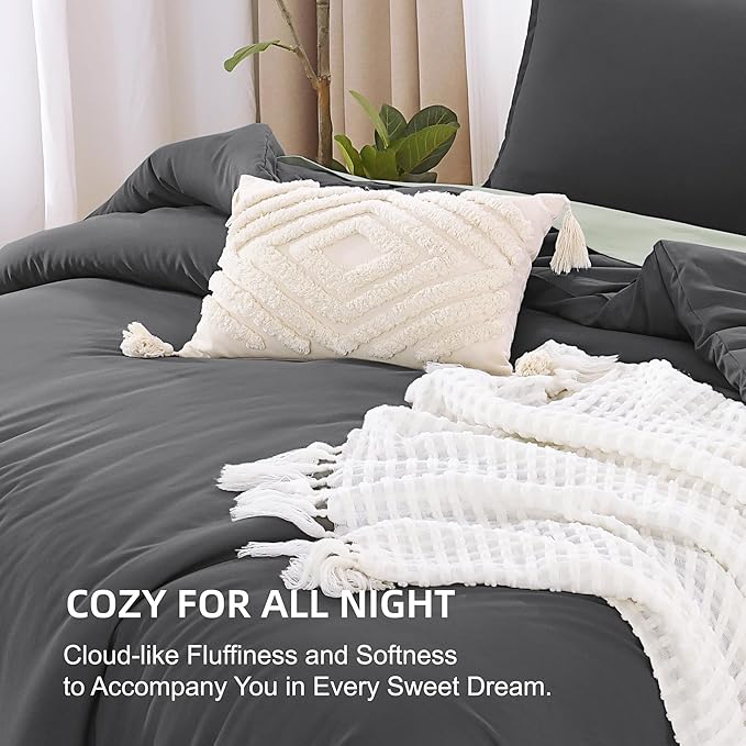 Litanika Grey Comforter Queen Size Set, Dark Gray Lightweight Plain Bedding Comforters Sets, All Season Fluffy Bed Set (90x90In Comforter & 2 Pillowcases)