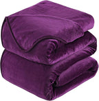 HOZY Soft Blanket Queen Size Fleece Warm Fuzzy Bed Blankets for The Bed Sofa Lightweight 350GSM Purple 90"*90"