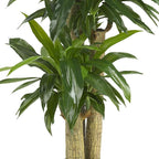 Nearly Natural 62IN Artificial Corn Stalk Dracaena Plant, Tall Fake Plant for Indoor Home Décor, Real Touch Faux Plant