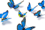 Amaonm 24pcs 3D Vivid Special Man-Made Lively Butterfly Art DIY Decor Wall Stickers Decals Nursery Decoration, Bathroom Décor, Office Décor, 3D Wall Art, 3D Crafts for Wall Art Kids Room Bedroom