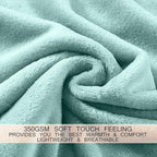 Soft King Size Blanket for All Season Warm Fuzzy Microplush Lightweight Thermal Fleece Summer Autumn Fall Winter Spring Blankets for King Calking Bed Couch Sofa,90x108 Inches,Sage Green