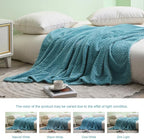 Exclusivo Mezcla Fleece Throw Blanket for Couch, 50x70 Inches Soft Cozy Jacquard Flannel Blankets, Lightweight Fuzzy Plush Warm Throws for Winter, Slate Blue