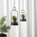 5" & 4" Wide Versatile Metal Candle Holder in Rustic Brown with Handmade Thick & Sturdy Glass Dome Cover for Pillar Candle & Plants, Farmhouse, Shabby Chic Style (2, Brown, Large & Small)