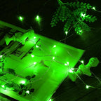 Mikasol Fairy Lights Battery Operated, 2 Pack Mini 3*AAA Battery Powered Copper Wire Led Starry String Lights Firefly Lights for Bedroom, Christmas, Parties, Decoration (5m/16ft Green)