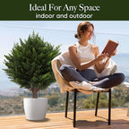 15.7 inch Height Set of Two Artificial Cypress Topiary – Breathe Life & Lushness into Any Space – Lifelike – UV-Resistant Great for Indoors & Outdoor - Easy to Install – Fade-Proof