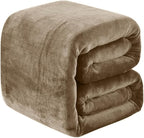 Fleece Blankets for All Season - Premium Lightweight Anti-Static Throw for Travel Size Bed Extra Soft Brush Fabric Warm Sofa Thermal Blanket 51" x 60"(Taupe)
