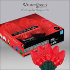 Wintergreen Lighting 25 C7 Red LED Christmas Lights, 17 Ft – Indoor Outdoor Red C7 String Lights for Christmas, Valentine’s Day, and Party Decor