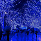 170Ft 500LED Blue Christmas Lights Plug in,Waterproof Christmas Tree Lights,8 Modes String Lights Indoor Outdoor for Halloween Tree Party Bedroom Garden Decor