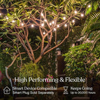 Brightech Ambience Pro LED String Lights - 26 Ft Commercial Grade Patio Lights Outdoor Waterproof - 12 Globe Porch String Lights for Outside, Backyard - 1W Vintage Edison Bulbs, Shine Bright, White