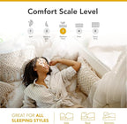 DynastyMattress RV Queen Mattress 10-Inch CoolBreeze Medium-FirmGel Memory-Foam Mattress for RV Bed, Camper, Pop Up and Trailer
