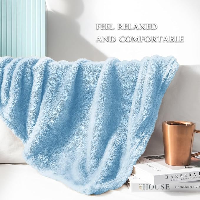 Exclusivo Mezcla Plush Fuzzy Fleece Throw Blanket Extra Large, Super Soft, Fluffy and Warm Blankets for Couch, Bed, Suitable for All Seasons (50x70 Inches, Light Blue)