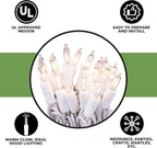 612 Vermont Clear 20 Count Christmas String Lights on White Wire Cord, UL Approved for Indoor Use Only, Total Length 4.9 Foot, Lighted Length 3.4 Foot