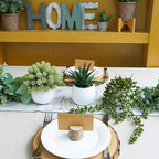 Winlyn Set of 3 Assorted Artificial Succulent Plants in White Concrete Pots Faux Aloe Hops String of Pearls Potted Plants Small Fake Plants for Home Garden Office Desk Counter Shelf Windowsill Decor