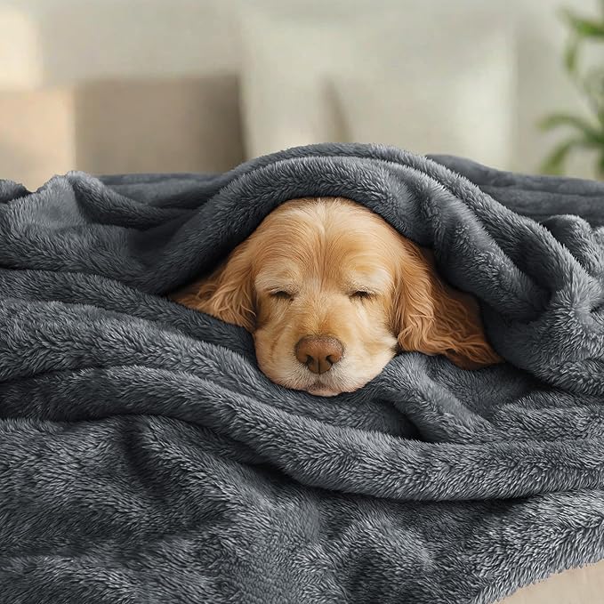 Exclusivo Mezcla Plush Fuzzy Fleece Bed Blanket King Size, Super Soft, Fluffy and Warm Blankets, Suitable for All Seasons (Dark Grey, 90x104 Inches)