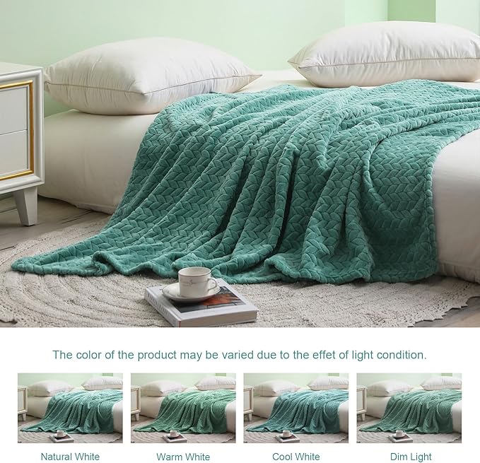 Exclusivo Mezcla Fleece Throw Blanket for Couch, 50x70 Inches Soft Cozy Jacquard Flannel Blankets, Lightweight Fuzzy Plush Warm Throws for Winter, Celadon