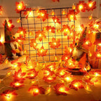 2 Pack Thanksgiving Decorations Fall Garland with Pumpkin Lights Fall Decorations for Home, Total 60 LED 20 Ft Maples Leaves Thanksgiving Lights Battery Operated Autumn Decor Indoor Outdoor Christmas