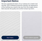 Avenco Queen Mattress, 14 Inch Queen Memory Foam Mattress in a Box for Refresh Sleep & Pressure Relief, CertiPUR-US Certified Medium Firm Mattresses