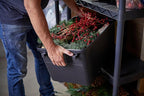 Plano Storage Trunks