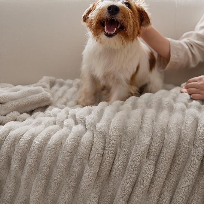 Bedsure GentleSoft Beige Throw Blanket for Couch - Cozy Soft Blankets for Women, Cute Small Fleece Throws for Girls, Linen, 50x60 Inches