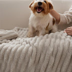 Bedsure GentleSoft Twin Blanket for Couch - Cozy Soft Blankets for Women, Cute Small Fleece Throws for Girls, Linen, 60x80 Inches