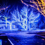 Wintergreen Lighting 50 LED Blue Christmas Lights, 25 ft Indoor/Outdoor Wide Angle Mini String on Green Wire, Commercial Grade with 6" Spacing, 5mm