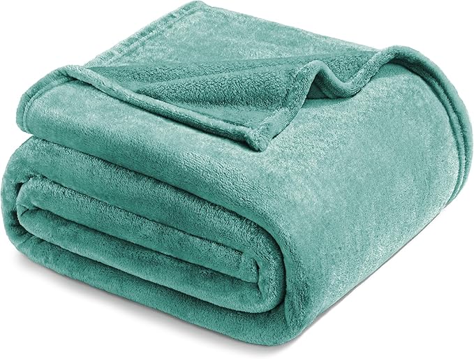 Exclusivo Mezcla Fleece Blanket Queen Size for Bed, Super Soft and Warm, All Season Use, Cozy, Plush, Lightweight, 90x90 Inches, Celadon