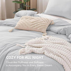 Litanika Comforters Light Grey Oversized Queen Size, 3 Pieces Lightweight Solid Bedding Comforter Set, All Season Fluffy Bed Set (98x98In Comforter & 2 Pillowcases)