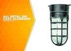 Woods L1706BLK Vandal Resistant 150W Incandescent Security Light, Ceiling Mount, Hammered Black