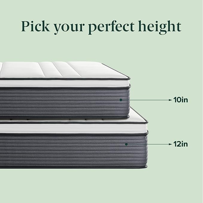 ZINUS 10 Inch True Support Hybrid Mattress [New Version], Full, Fiberglass free, Medium Feel, Motion Isolation, Certified Safe Foams & Fabric, Mattress in A Box