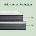 ZINUS 10 Inch True Support Hybrid Mattress [New Version], Queen, Fiberglass Free, Medium Feel, Motion Isolation, Certified Safe Foams & Fabric, Mattress in A Box
